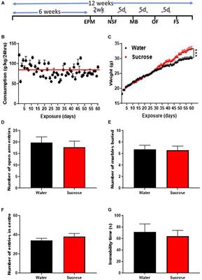 Long-Term Overconsumption of Sugar Starting at Adolescence Produces Persistent Hyperactivity and Neurocognitive Deficits in Adulthood